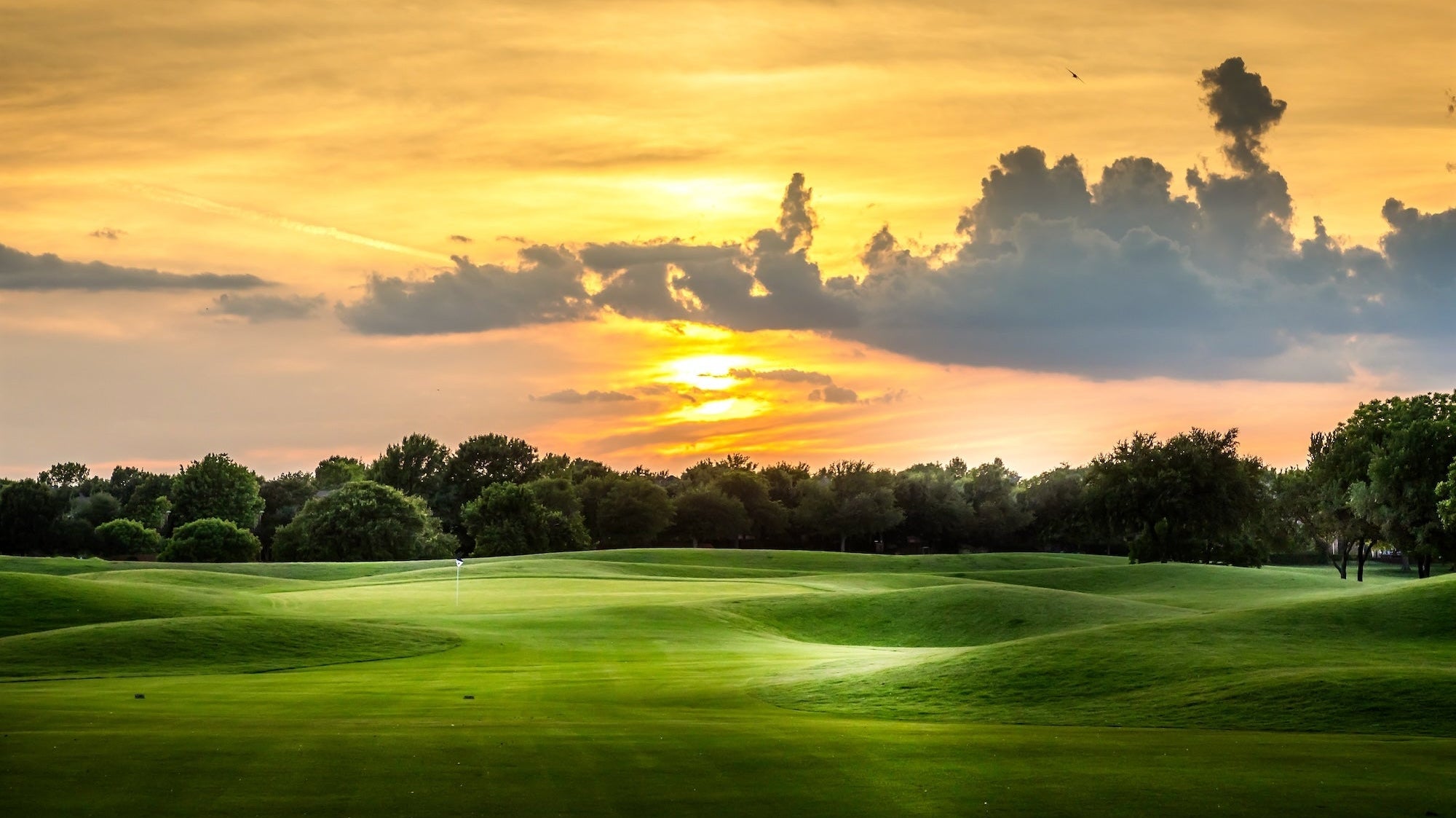 Y'all Ready for This? The 10 Best Golf Courses in Texas