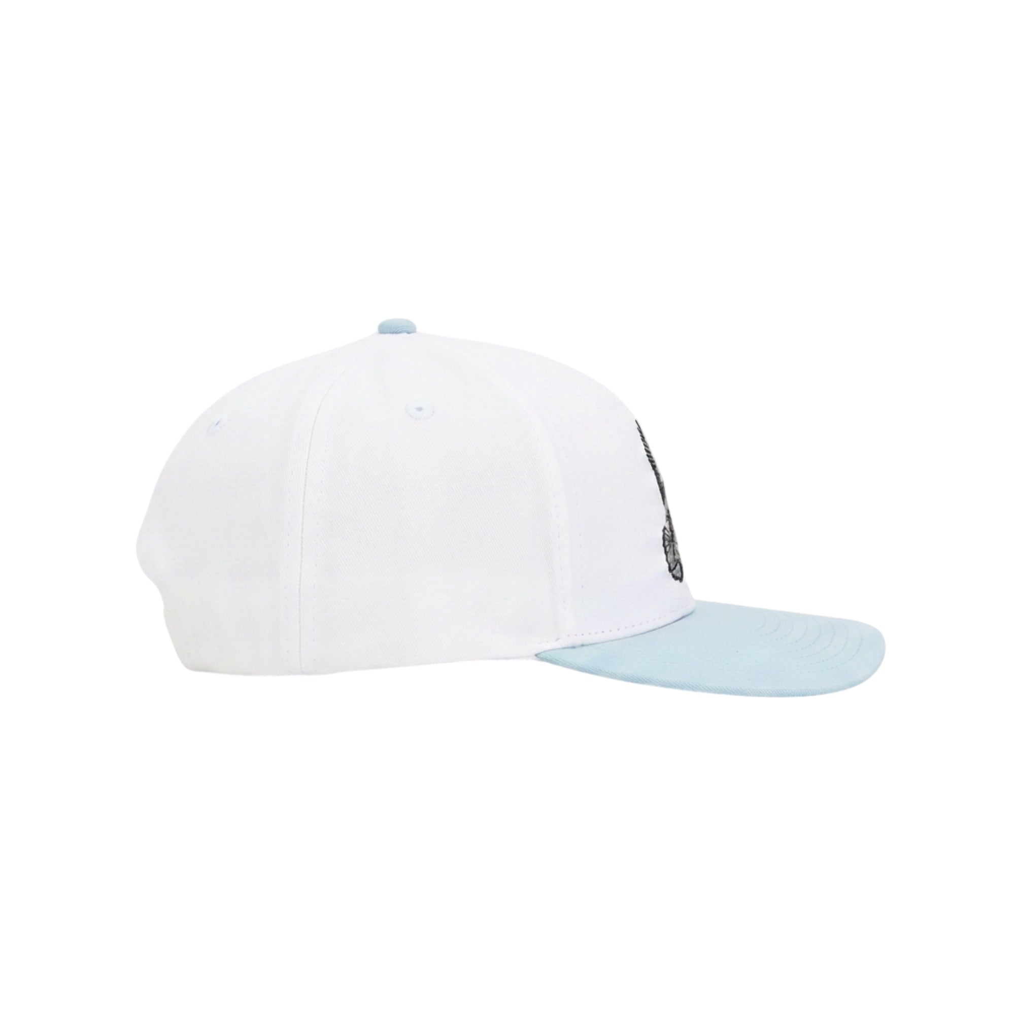 Blue Wing Teal Hat | Jack Golf Apparel